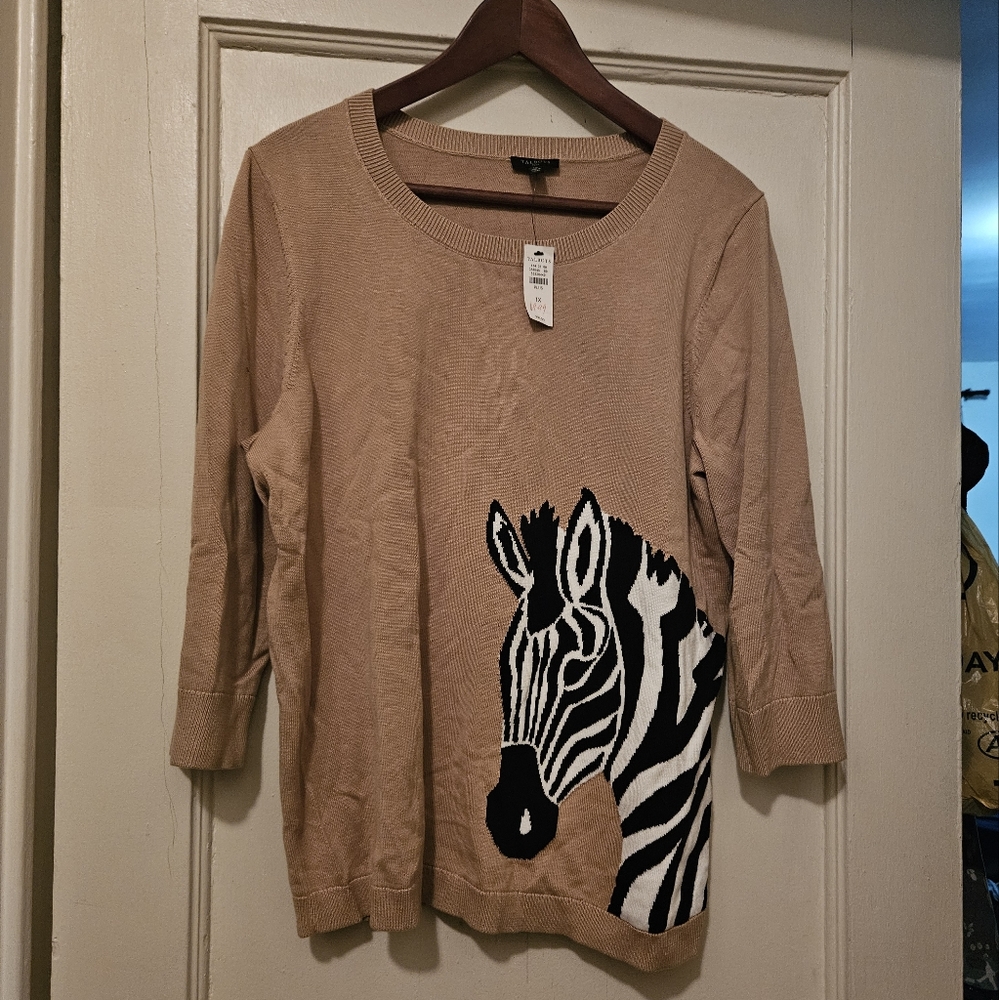 Women casual sweater